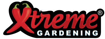 Xtreme Gardening microbial inoculant being mixed into soil for transplanting in a home garden