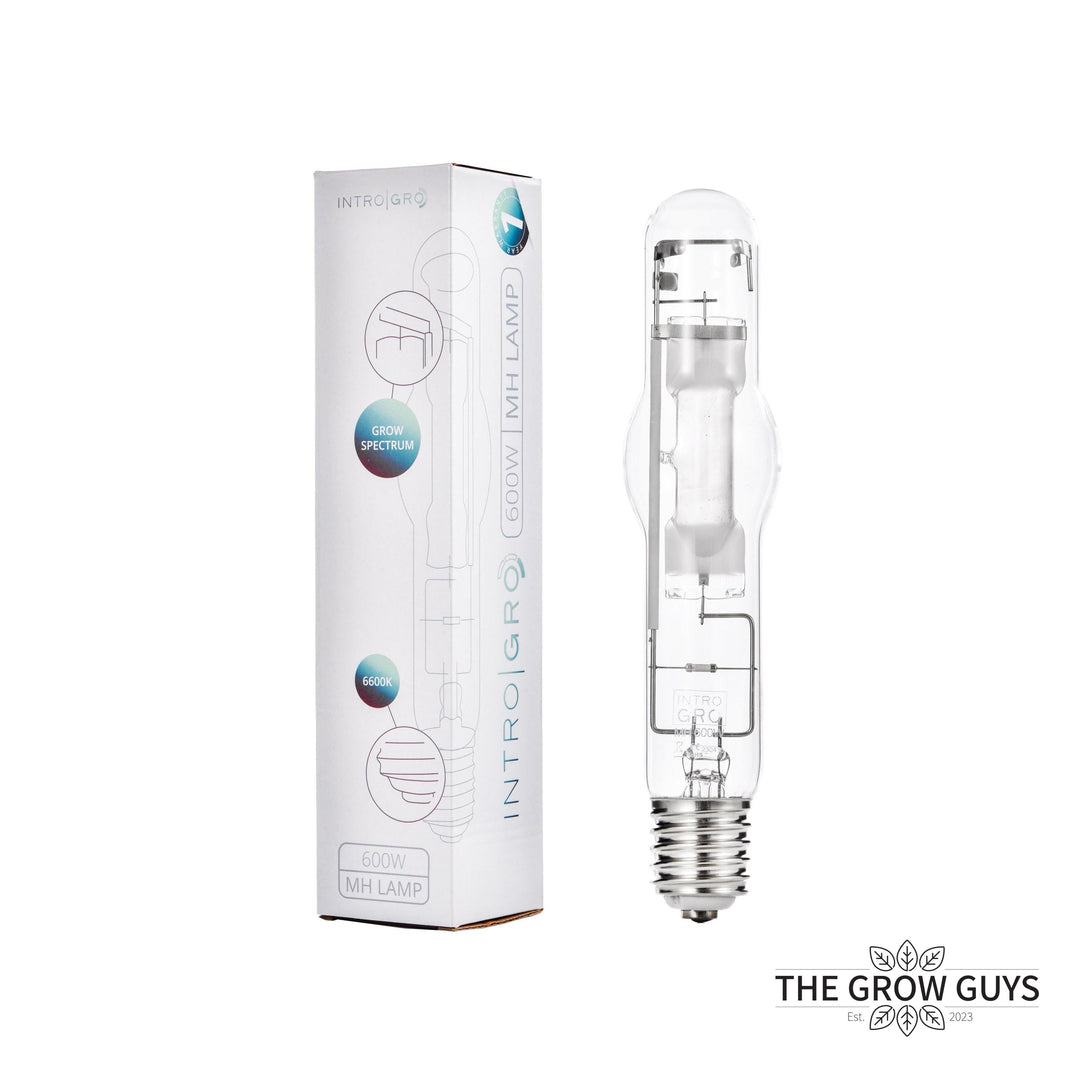 600w Retro MH Lamp by Intro|Gro