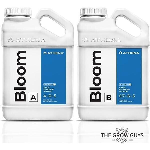Bloom (A&B Set) by Athena