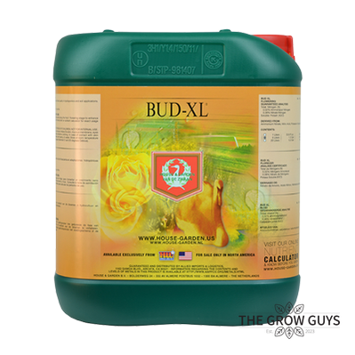 Bud-XL by House & Garden