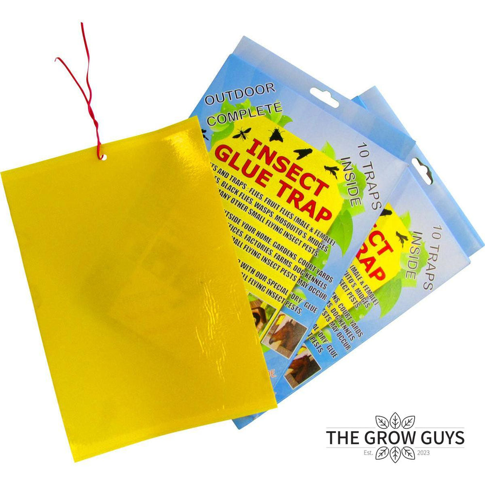Insect Glue Trap by Outdoor Complete