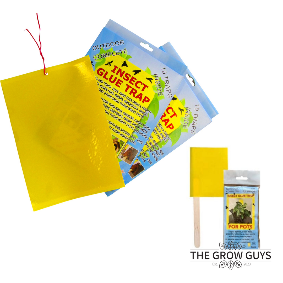 Insect Glue Trap by Outdoor Complete