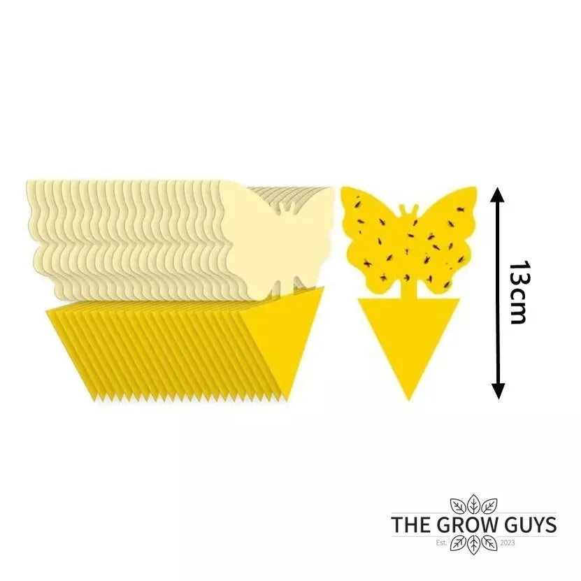 Insect Glue Traps by The Grow Guys