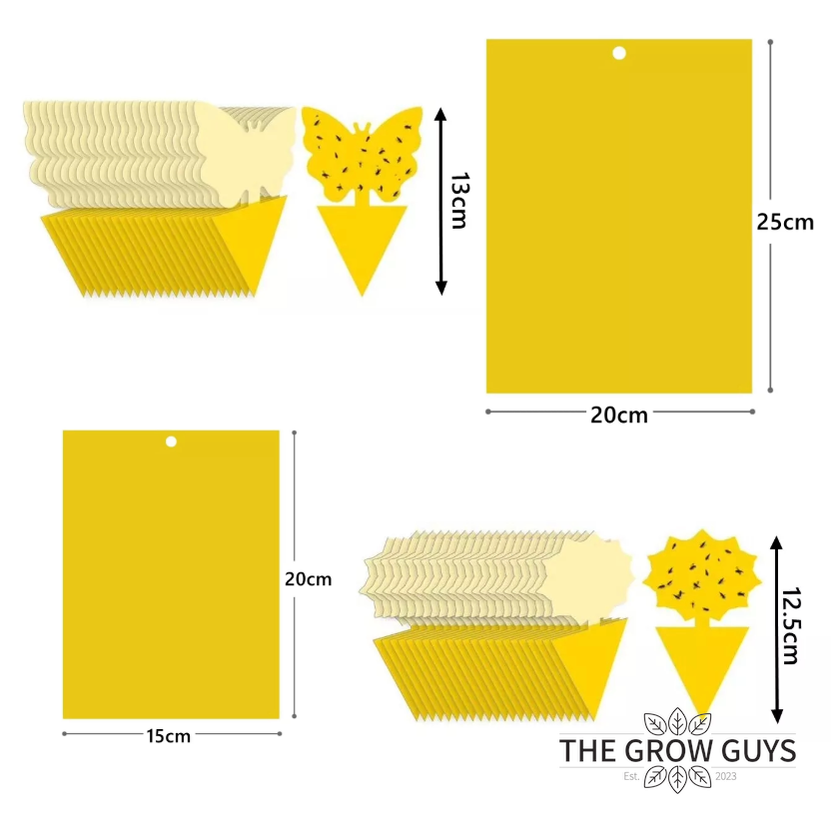 Insect Glue Traps by The Grow Guys