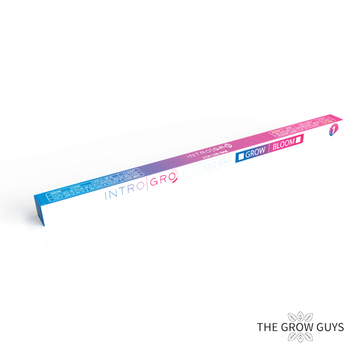 LED Grow and Bloom Bars by Intro|gro – Sleek, Slim & Serious Light Power