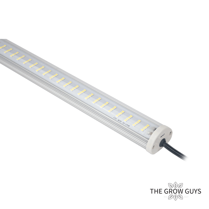 LED Grow and Bloom Bars by Intro|gro – Sleek, Slim & Serious Light Power