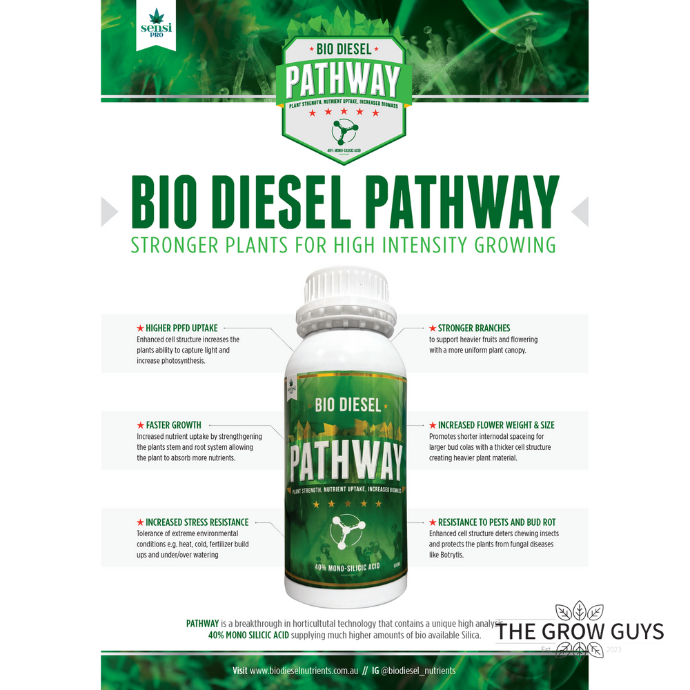 Pathway by Bio Diesel – Mono Silicic Acid for Strength, Defence & Uptake