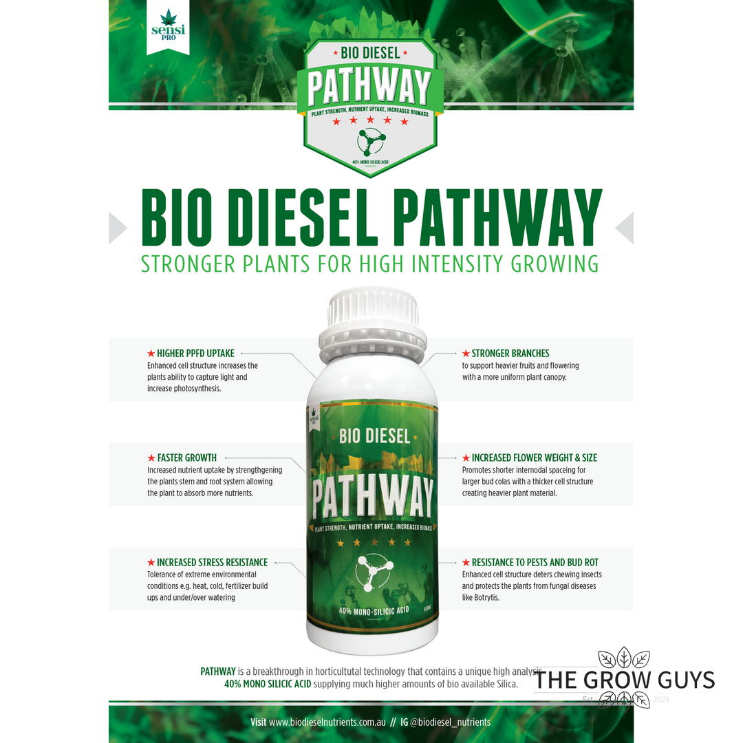 Pathway by Bio Diesel – Mono Silicic Acid for Strength, Defence & Uptake