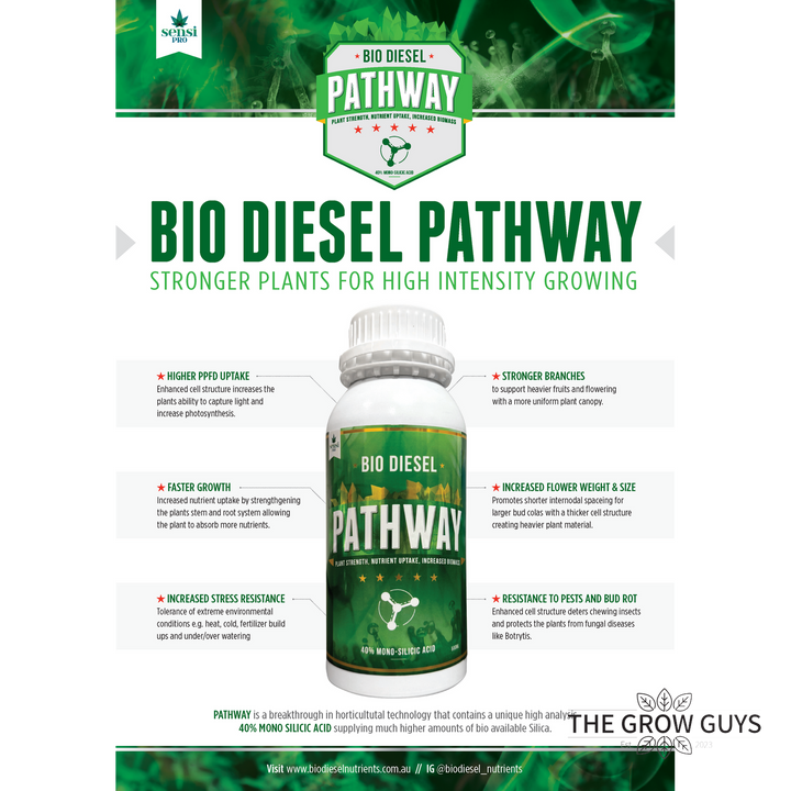 Pathway by Bio Diesel – Mono Silicic Acid for Strength, Defence & Uptake