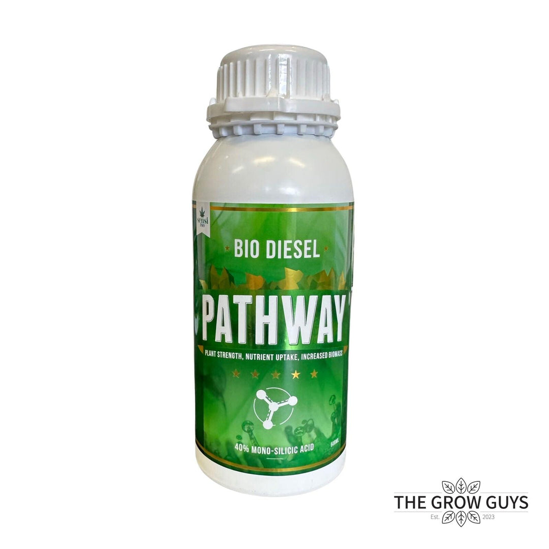 Pathway by Bio Diesel – Mono Silicic Acid for Strength, Defence & Uptake
