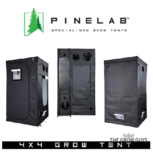 Pinelab - Extra Height (2.13m)