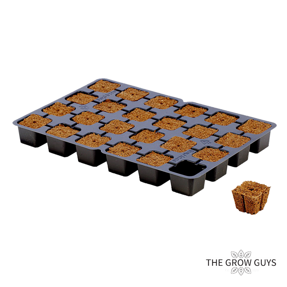 Square Cubes by Eazy Plug – Fast, Fuss-Free Propagation Plugs