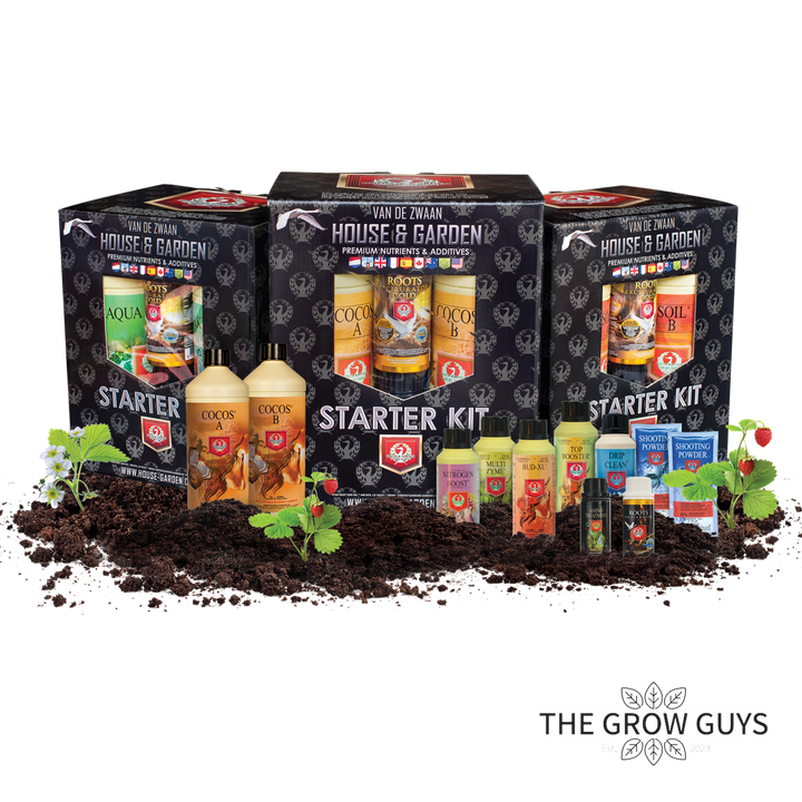 Starter Kit by House & Garden