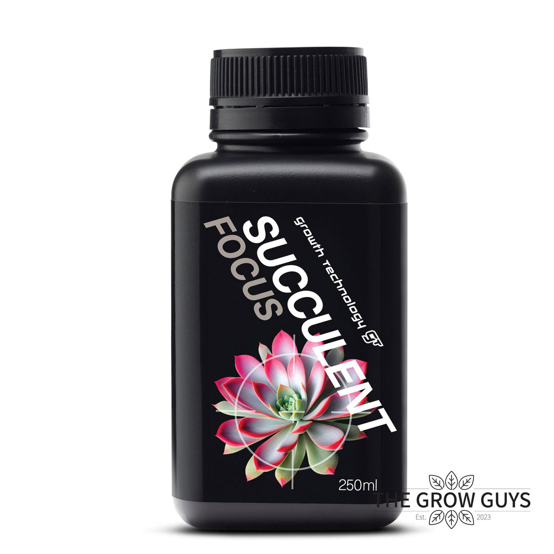 Succulent Focus by Growth Technology