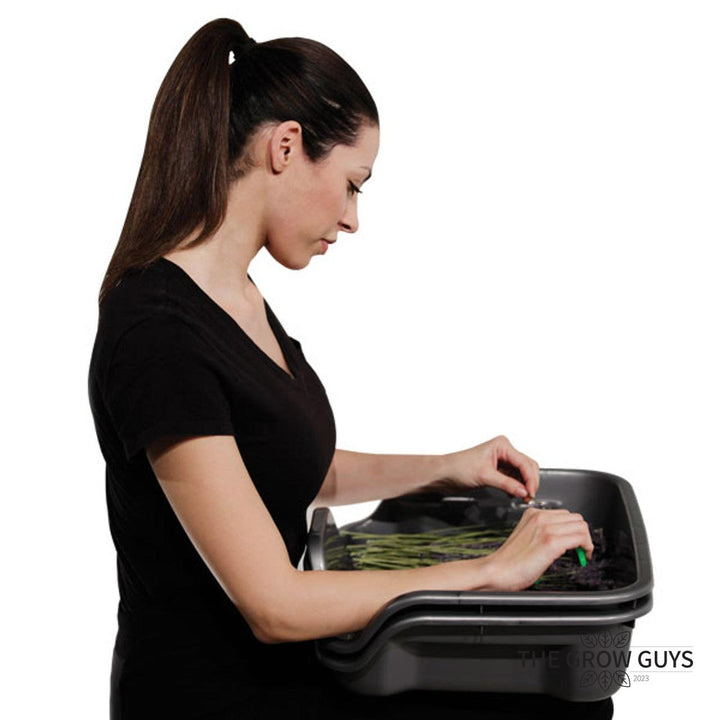 Trim Bin by Harvest More