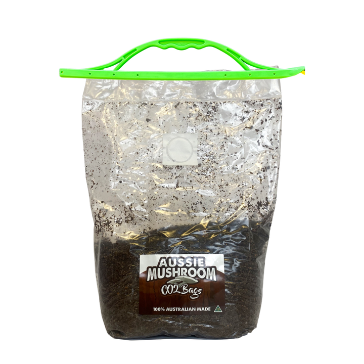 XL CO₂ Grow Bag by Aussie Mushroom – Breath Bag Boost