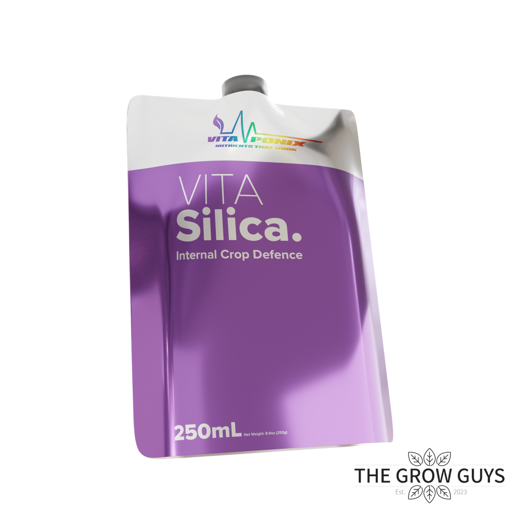 Vita Silica by VitaPonix