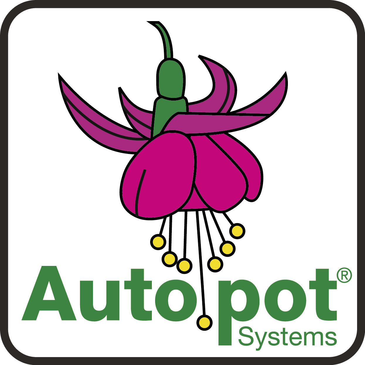 AutoPot