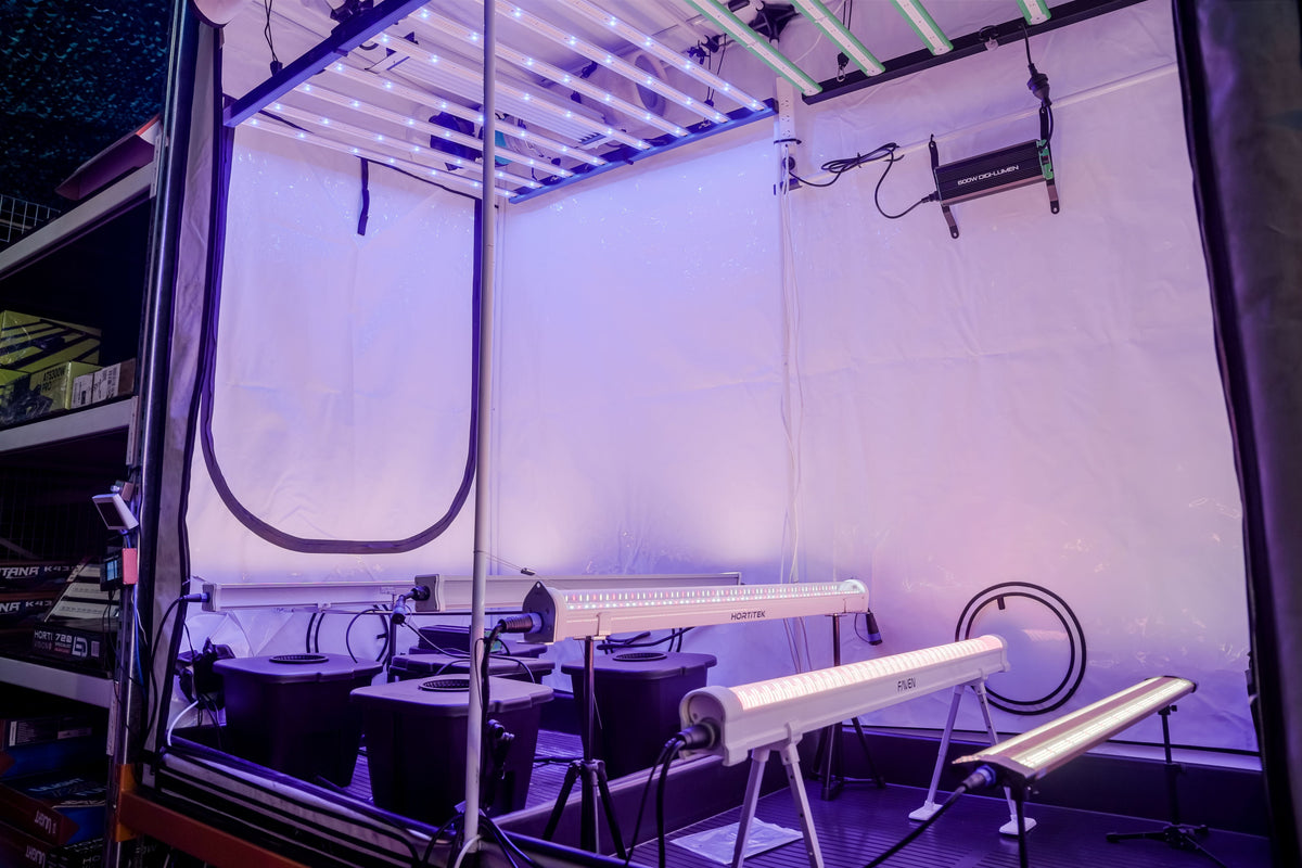  HPS and MH grow lights inside flowering tent