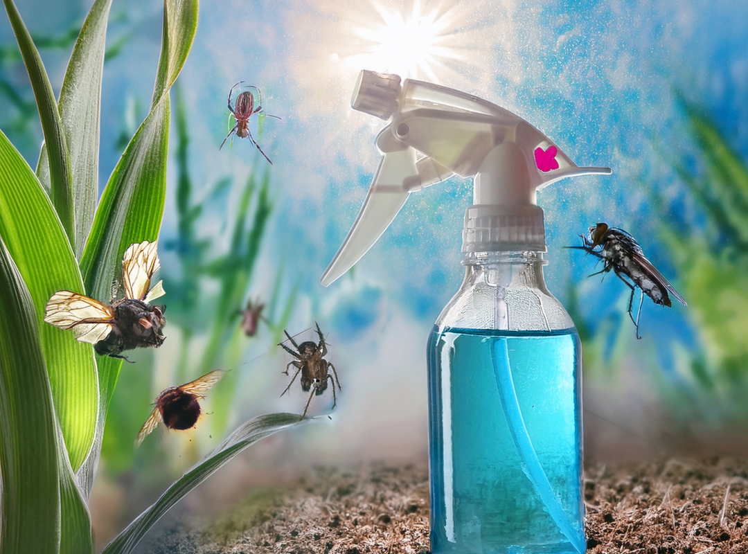 Pest management
