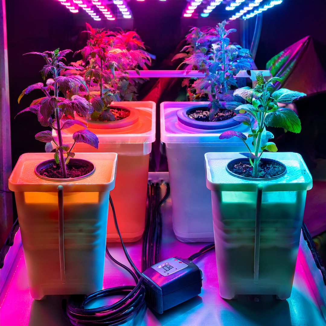 Grow Systems & Containers