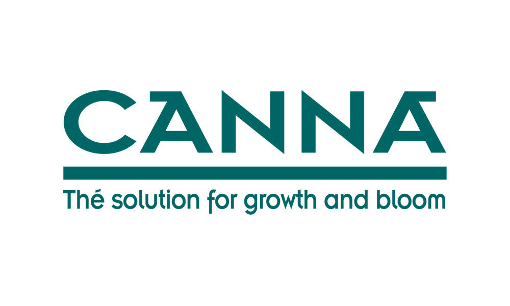 Canna - all