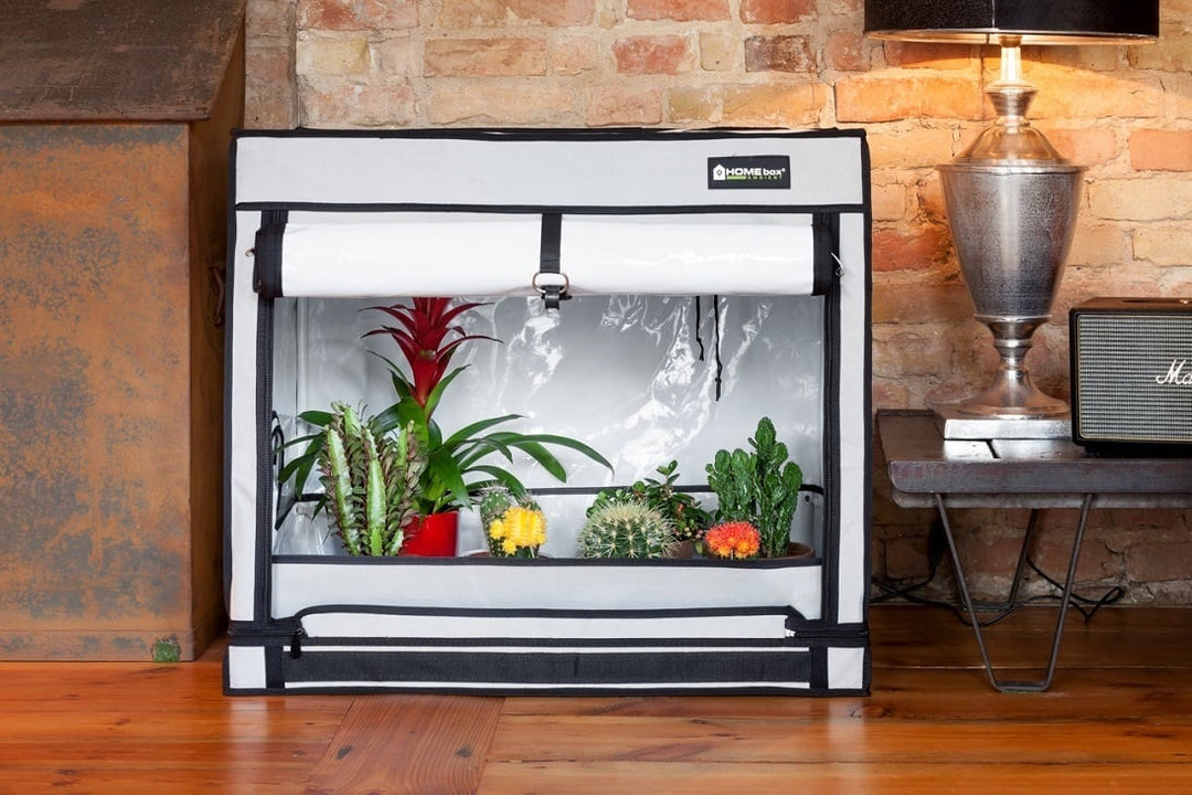 Starter Kits - Benchtop