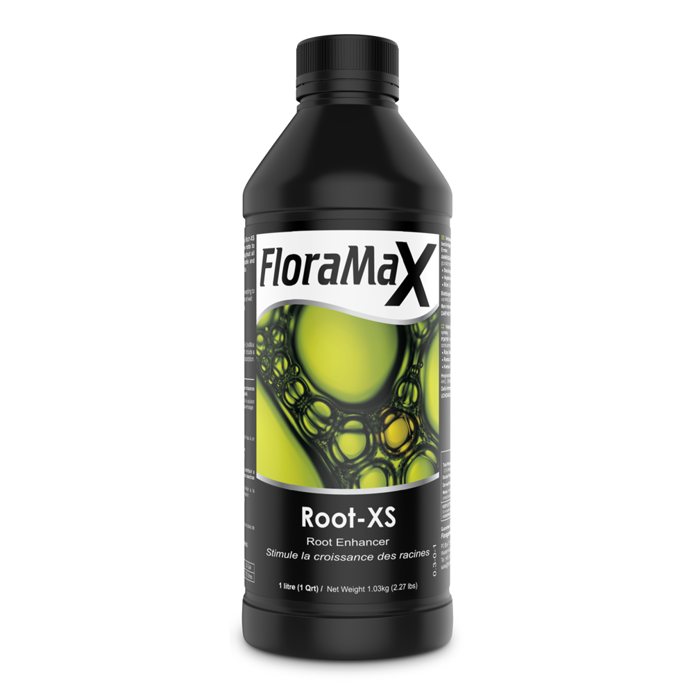 Root-XS