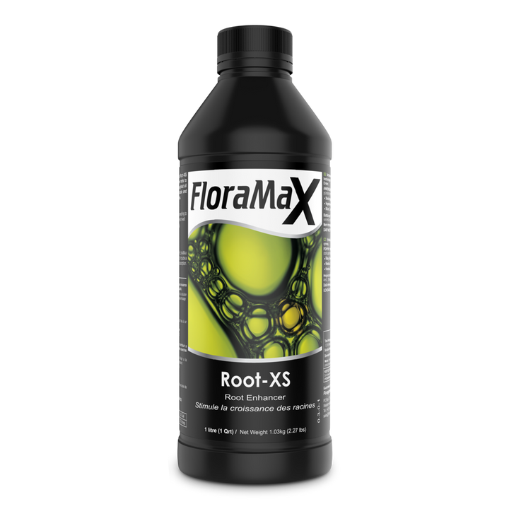 Root-XS