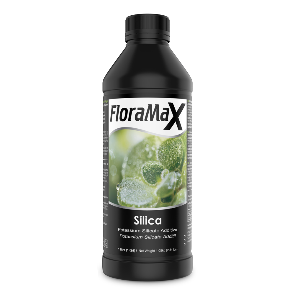 Silica