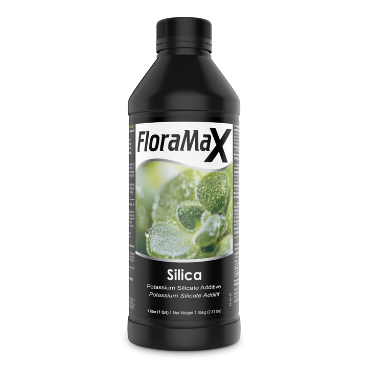 Silica
