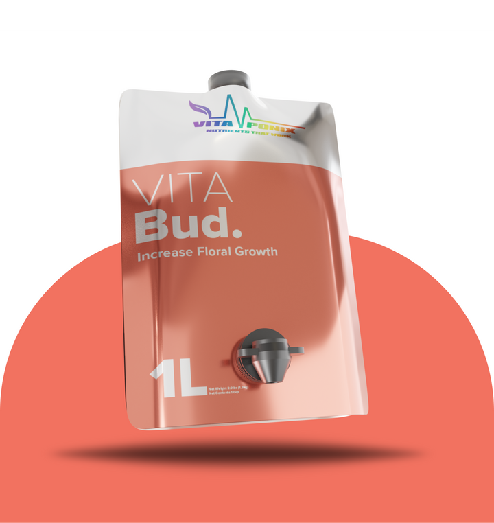 Vita Bud by VitaPonix