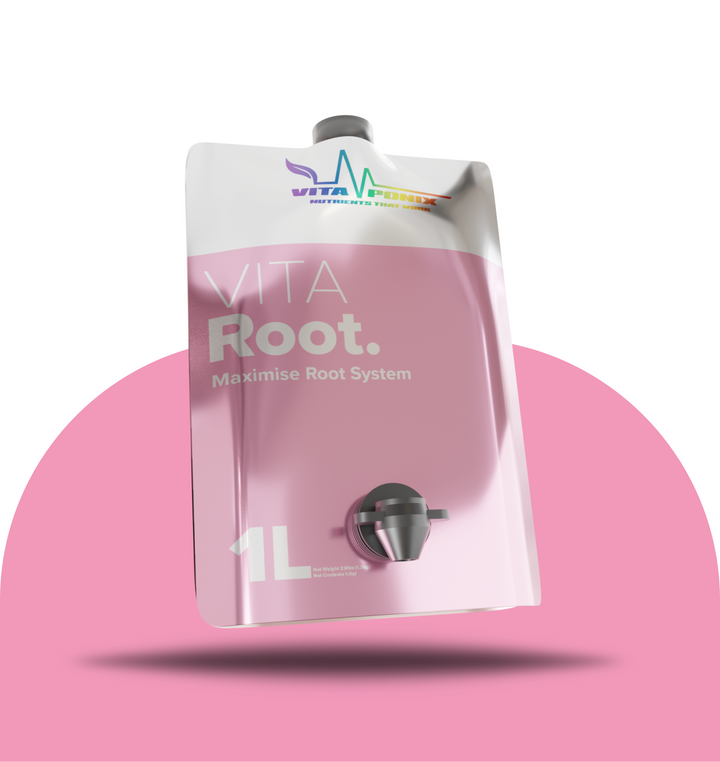 Vita Root by VitaPonix