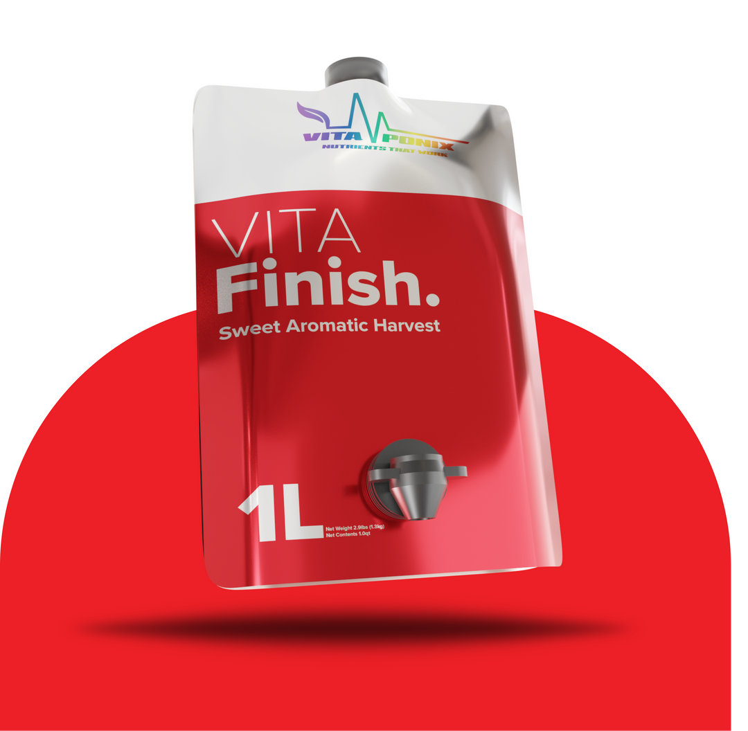 Vita Finish by VitaPonix