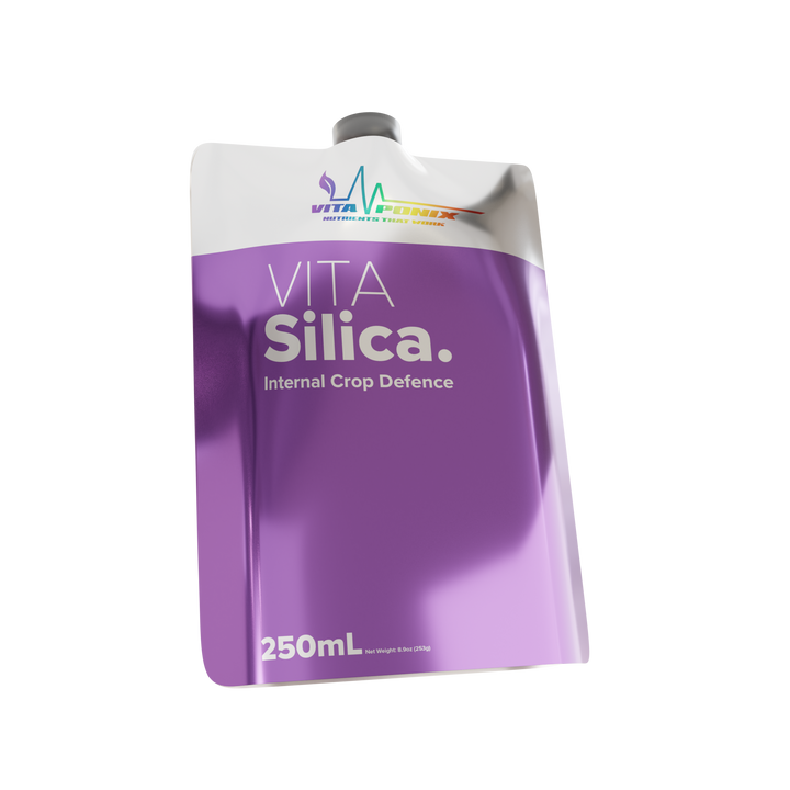 Vita Silica by VitaPonix