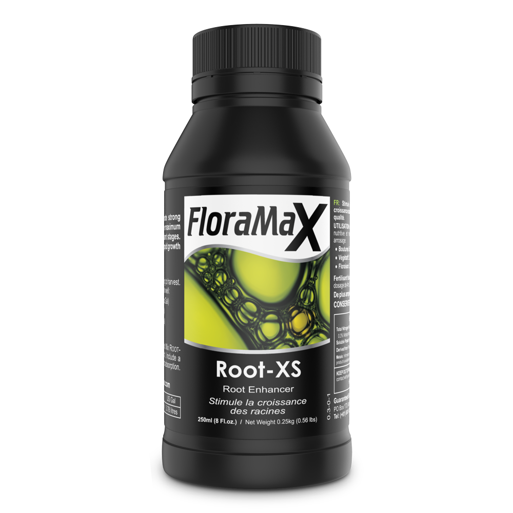 Root-XS