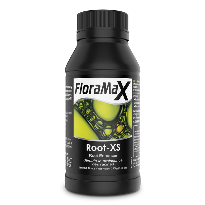 Root-XS