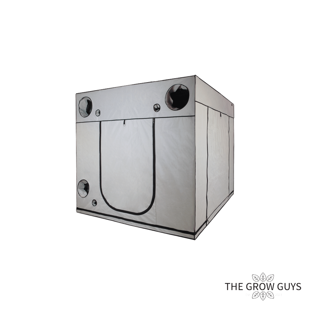 2.4 x 2.4 x 2.2m Grow Tent — Ambient Q240+ by HOMEbox