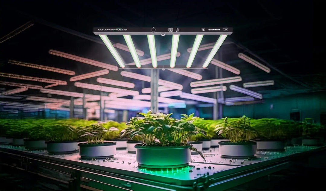 Halo 720 W LED by Digi‑Lumen – 6‑Bar Bi‑Fold Grow Light