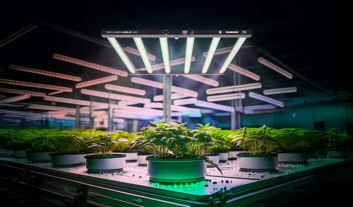 Halo 720 W LED by Digi‑Lumen – 6‑Bar Bi‑Fold Grow Light