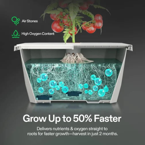 VGrow DWC Kit by VIVOSUN - hydroponic deep water culture system for VGrow