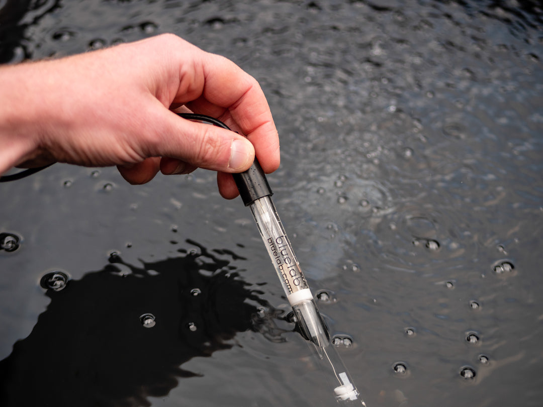 pH Probe by Bluelab — 2m BNC Replacement Probe for Bluelab Meters, Monitors & Controllers