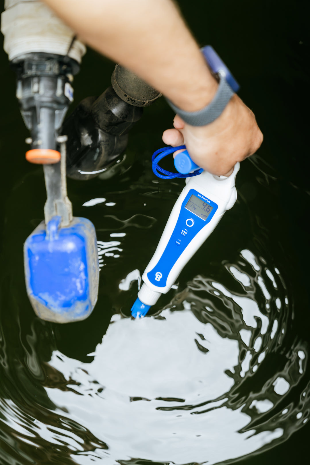 pH PenPlus by Bluelab — Replaceable Probe pH & Temperature Meter