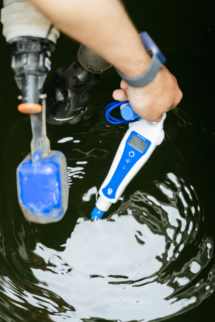 pH PenPlus by Bluelab — Replaceable Probe pH & Temperature Meter
