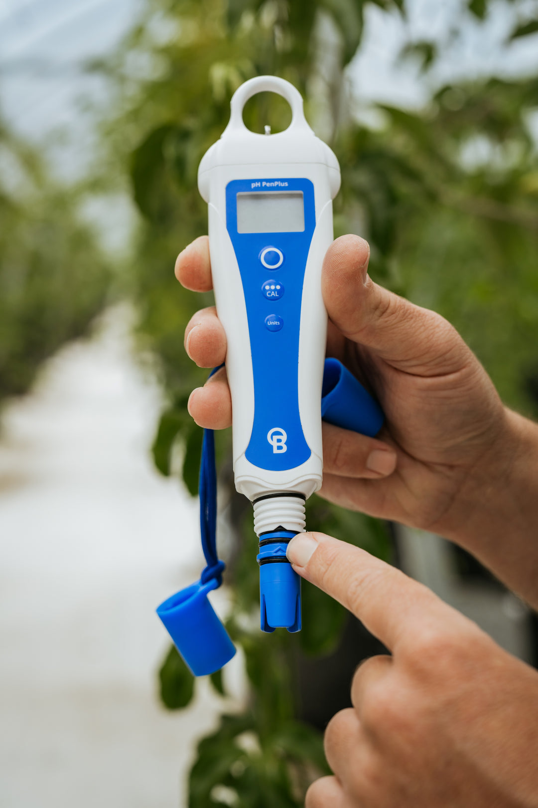 pH PenPlus by Bluelab — Replaceable Probe pH & Temperature Meter