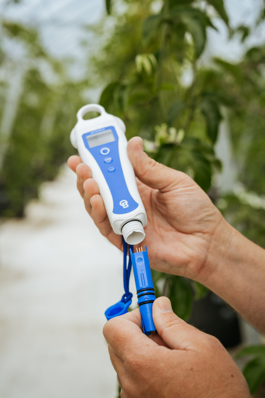 pH PenPlus by Bluelab — Replaceable Probe pH & Temperature Meter
