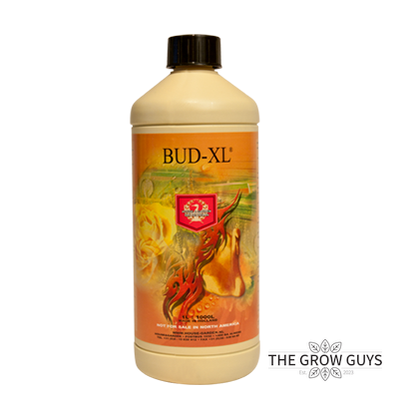 Bud-XL by House & Garden