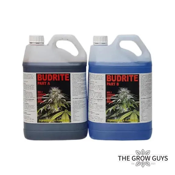 Budrite (A&B Set) by Fastway