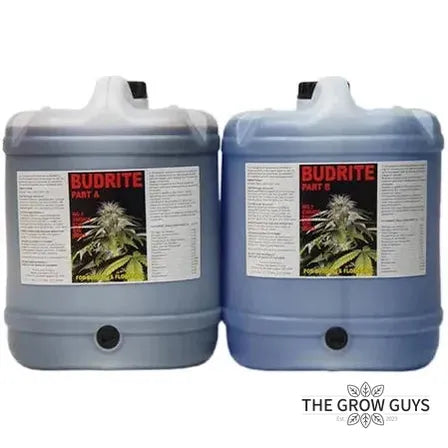 Budrite (A&B Set) by Fastway