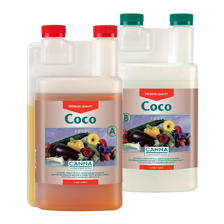 Coco (A&B Set) by Canna
